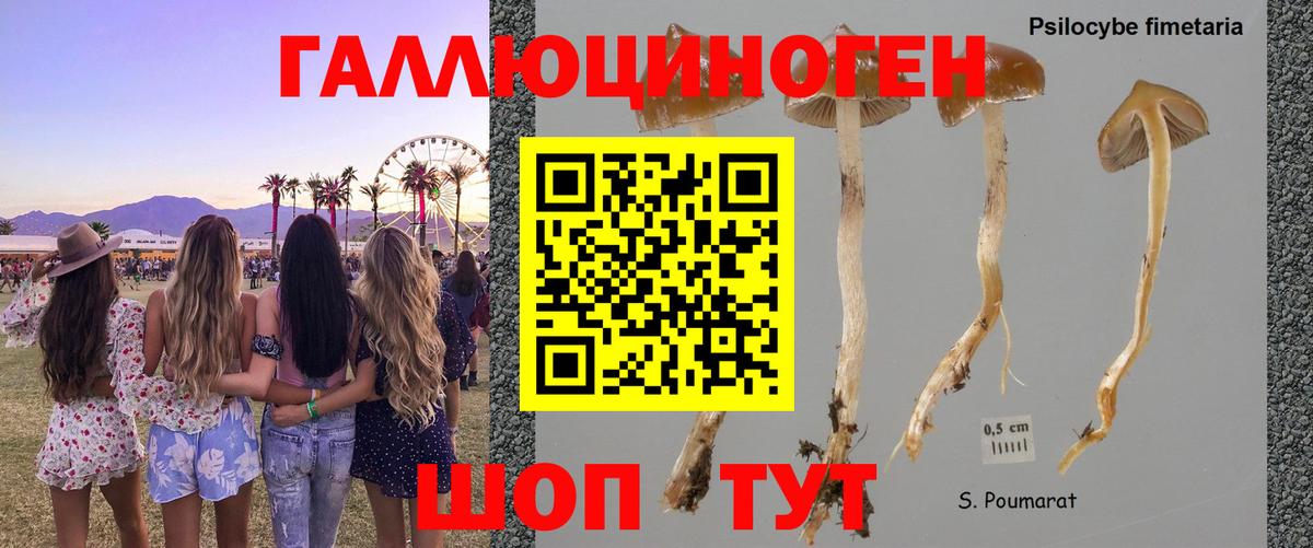 Псилоцибиновые грибы MAGIC MUSHROOMS Ульяновск